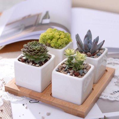 Eleanor Planter Set