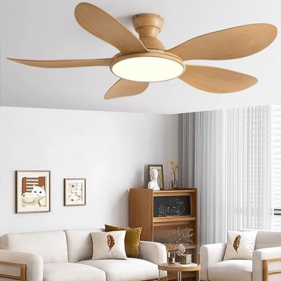Jihan Fan