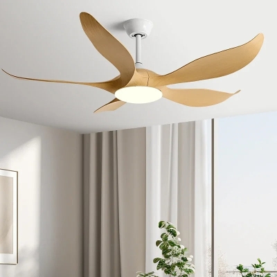 Megan Fan