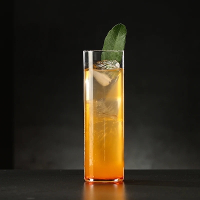 Noelle Crystal Highball Glasses