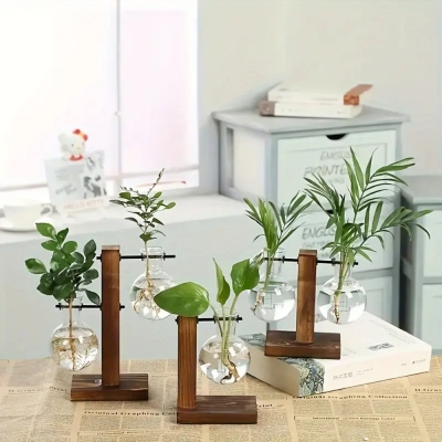 Hydroponic Vase