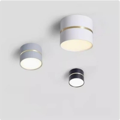 Theodora Surface Mounted Downlight