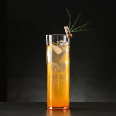 Noelle Crystal Highball Glasses
