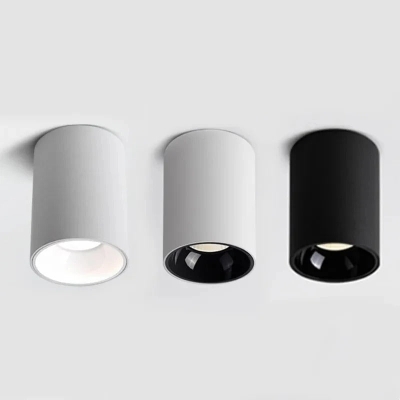 Denver Black & White Surface Mounted Downlight