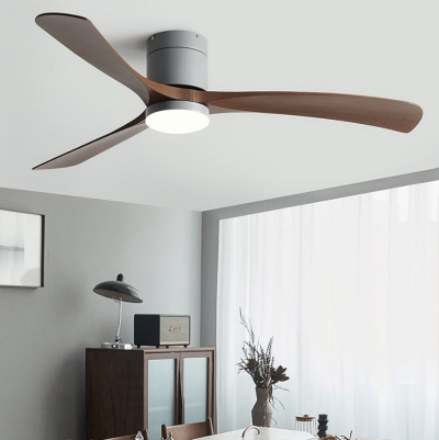 Cienna Fan
