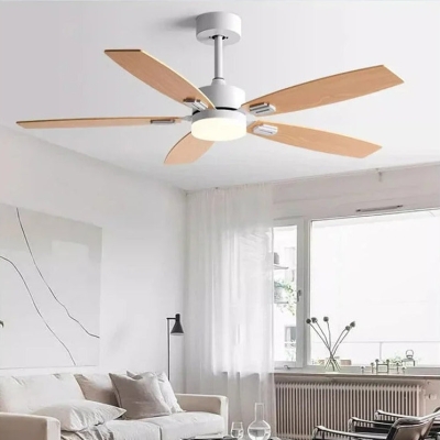 Vidalina Fan