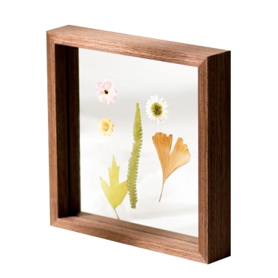 Daintree Frame Collection