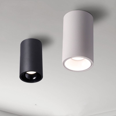 Denver Black & White Surface Mounted Downlight