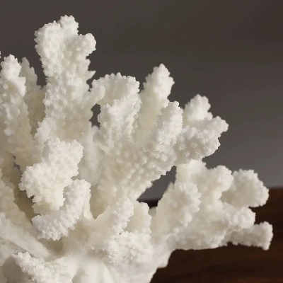 Coral Reef Decoration