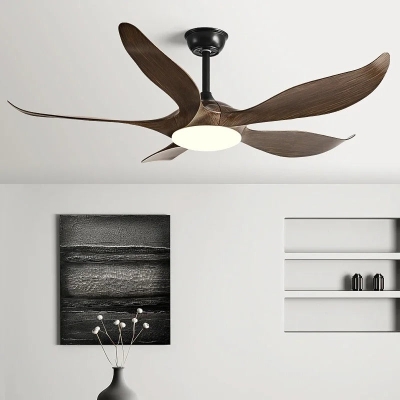 Megan Fan