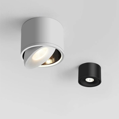 Paulina Surface Mounted Downlight