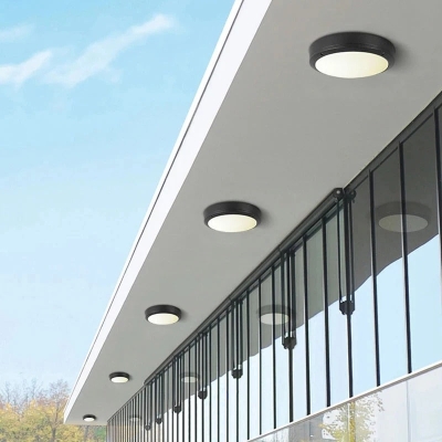 Ayva Outdoor Ceiling Light