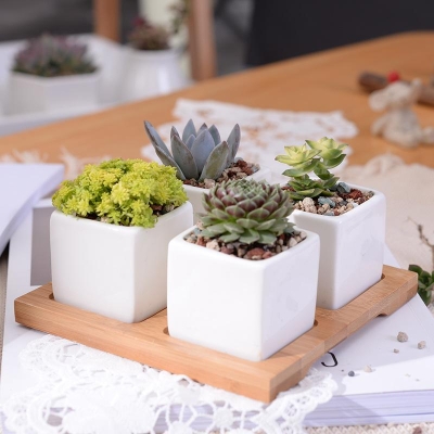 Eleanor Planter Set